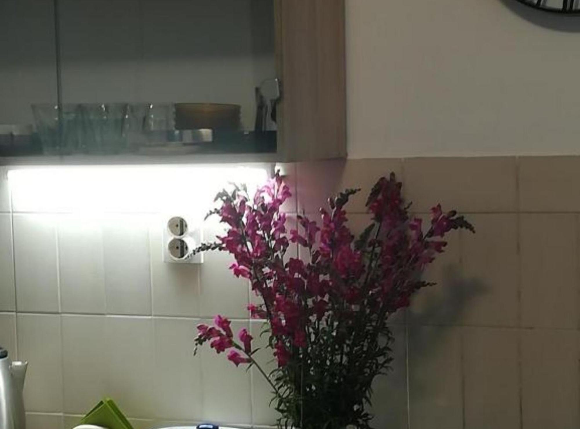 Apartman Olymp Osijek-Garaza Exteriör bild