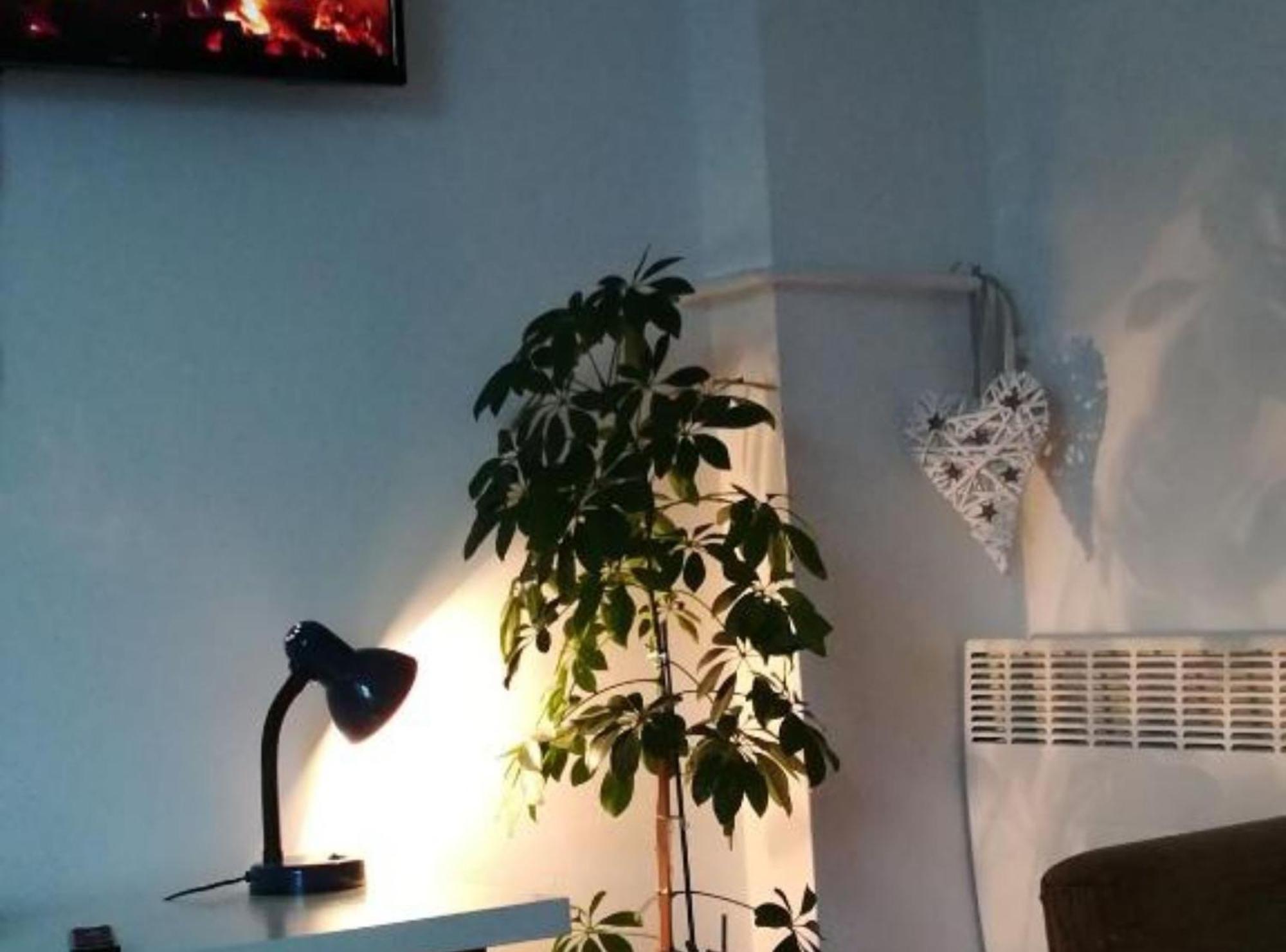 Apartman Olymp Osijek-Garaza Exteriör bild